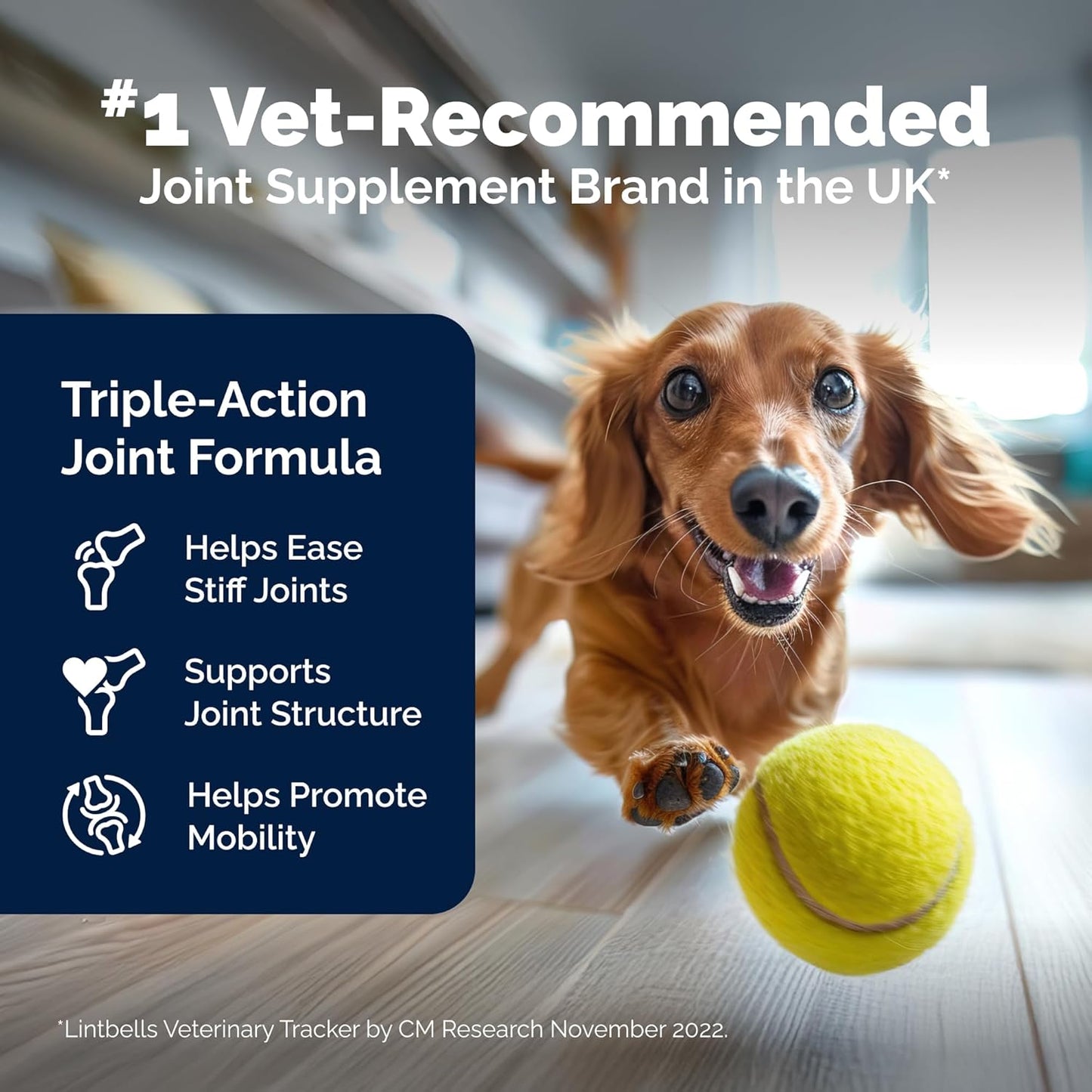 YuMOVE Hip & Joint Supplement for Dogs with Glucosamine, Hyaluronic Acid, Green Lipped Mussel & Omega 3 Joint Supplement - Regular or Advanced Strength (45ct, Advanced Vet Strength Soft Chews)