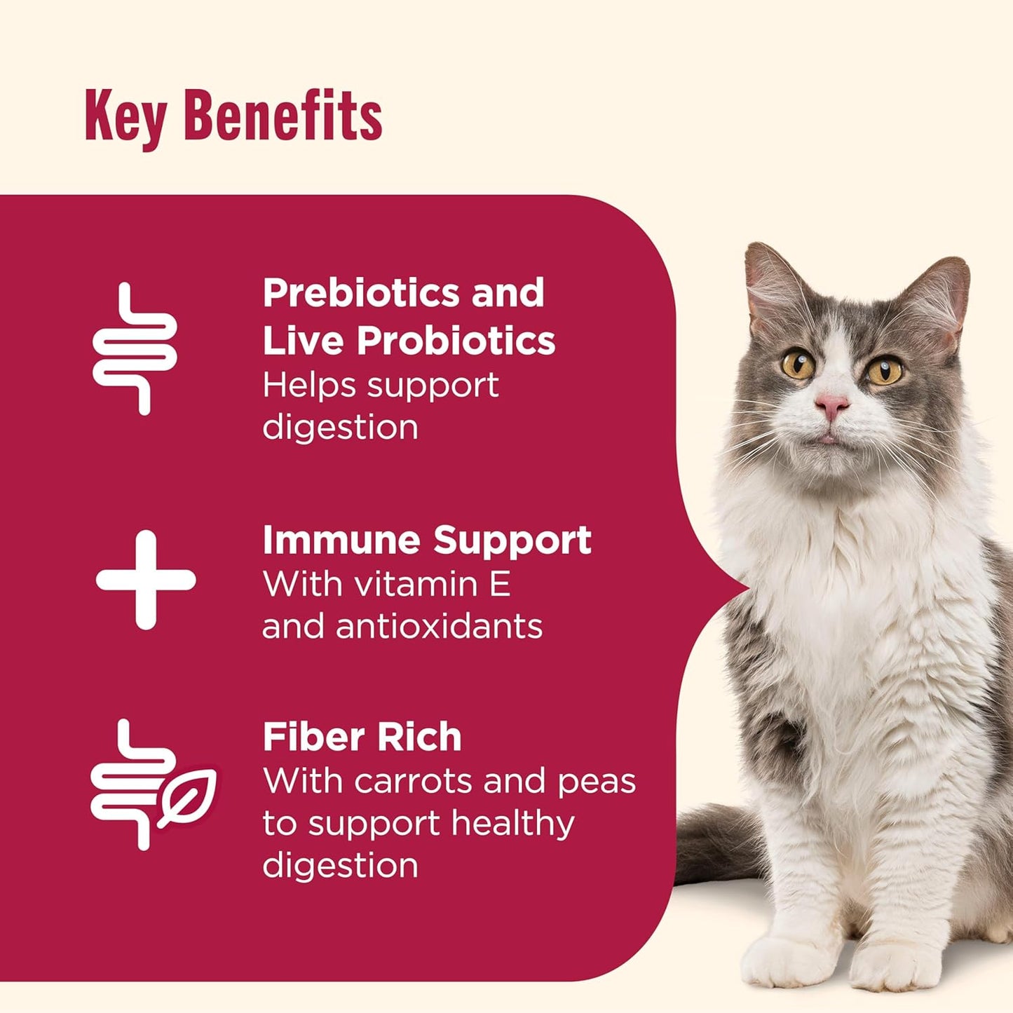 Nutrish Everyday Digestion Dry Cat Food, Chicken Brown Rice and Salmon Recipe with Peas and Carrots, 3 lb. Bag, 4 Count, (Rachael Ray)