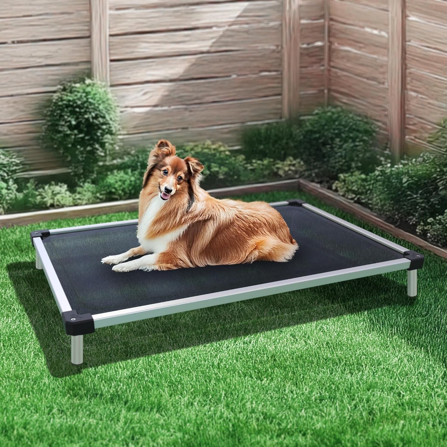 FXW TitanNest Chew-Proof Elevated Dog Bed, Raised Cot for Indoor/Outdoor/Camping Use, Durable & Waterproof Cooling Pet Bed for Medium Dogs, 42.0" L x 27.0" W x 5.0" H, Black