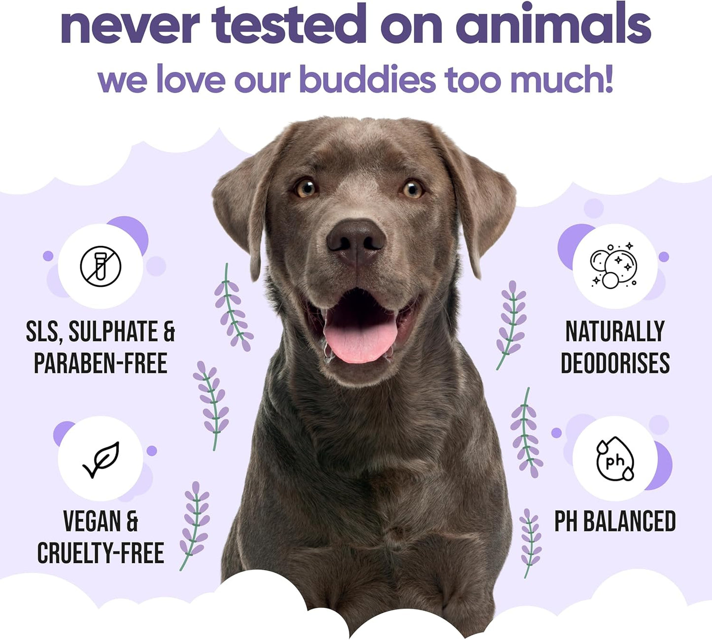 Calming & Deodorising Dog Shampoo by Buddycare | Lavender Scented | with Aloe Vera and Pro Vitamin B5 (33.8oz)