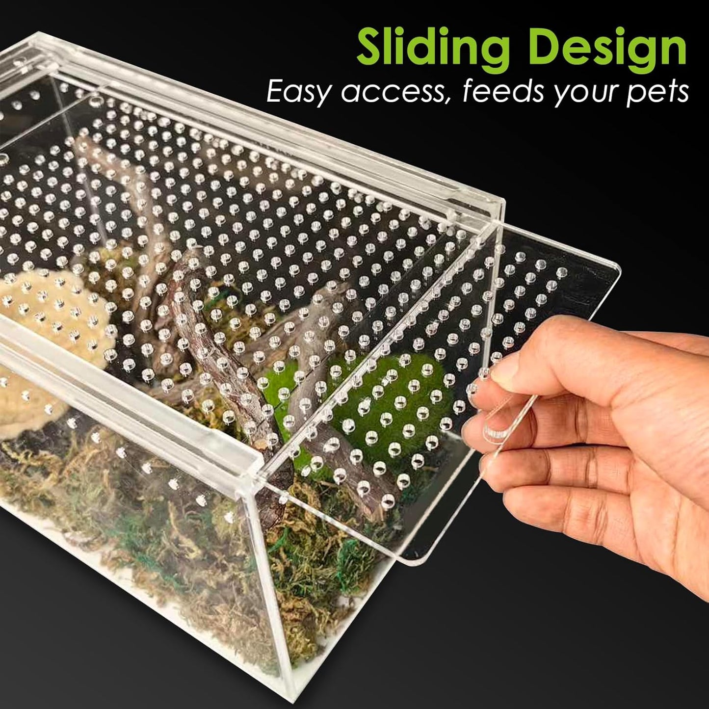 Acrylic Reptile Terrarium Enclosure 9.8" x 5.9" x 5.9" Magnetic Tarantula Breeding Box Transparent Insect Habitat for Jumping Spider Hermit Crab Lizard Sling Isopods Horned Frog Snake Gecko