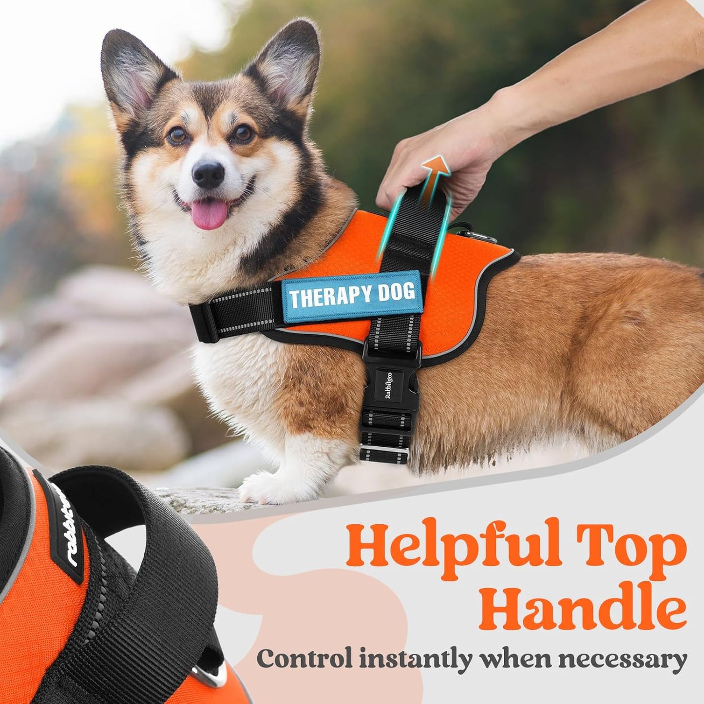 rabbitgoo Dog Harness for Small, Easy On Pet Vest with One Buckle, No Pull Adjustable Service Harness with D-Ring & Handle, Reflective for Safety Walking, Training, Orange, S