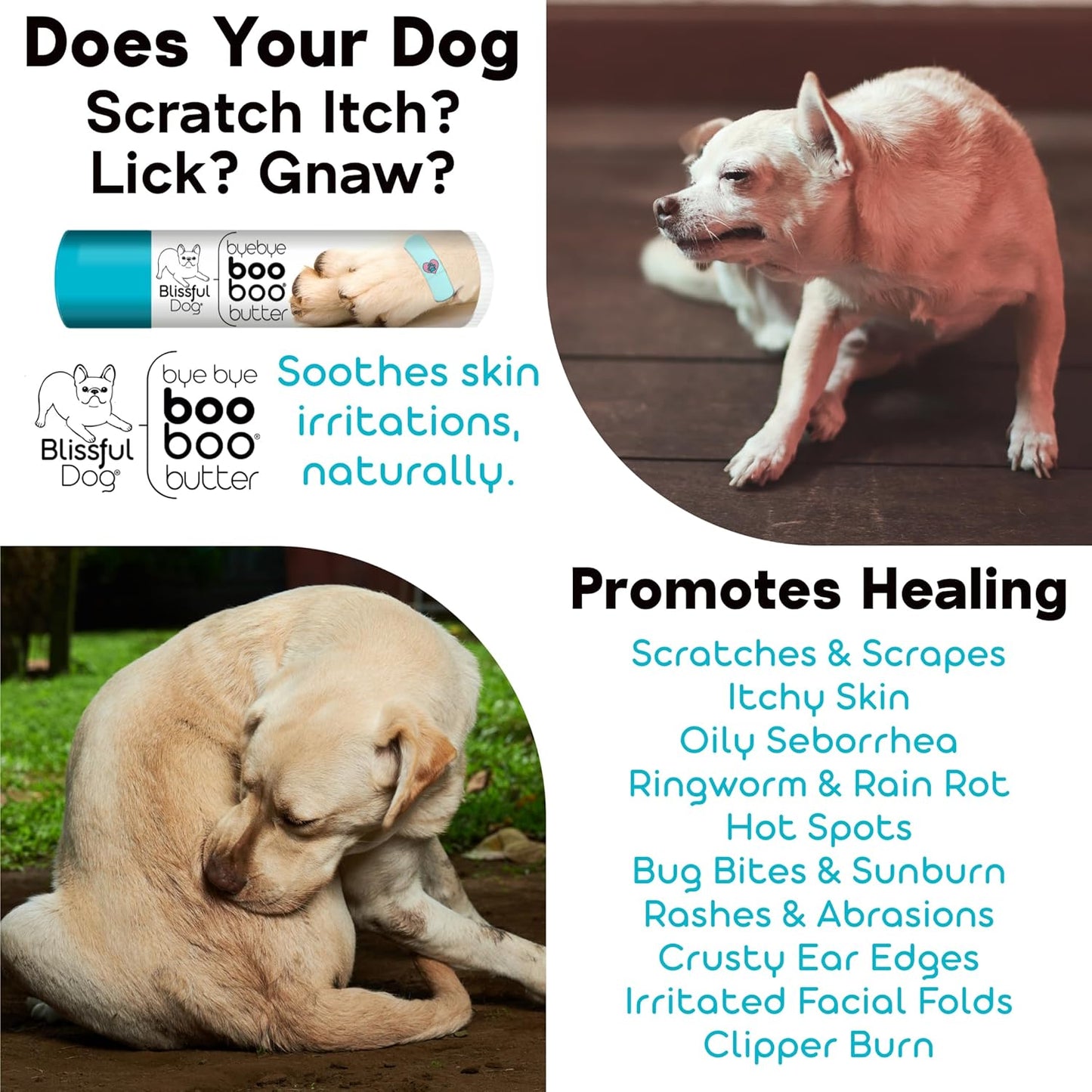 The Blissful Dog .50 oz Tube Maltese Booboo Butter