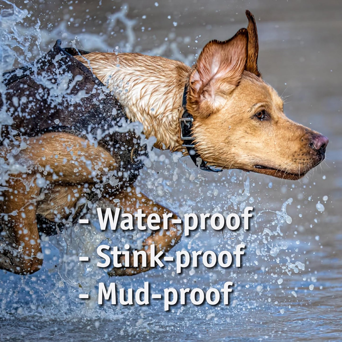 Biothane Custom Dog Collar – Waterproof, Stink-Proof Personalized Collar with Name & Phone Number – Durable, Many Sizes and Colors – Assembled in USA (Cherry Red)