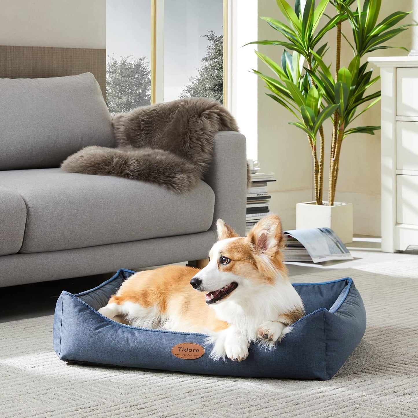 Orthopedic Dog Beds for Medium Dogs, Durable Egg Crate Foam Sofa Dog Bed wit Washable Removable Cover,Waterproof Lining,Pet Bed for Large Dogs (Navy Blue, 31.5" L x 25.2" W x 7" Th)