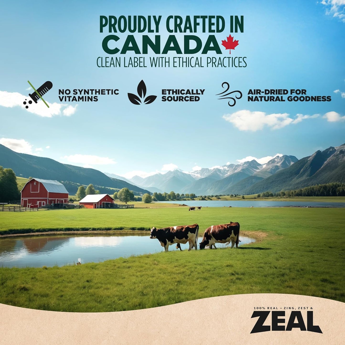 ZEAL Canada Air-Dried Salmon & Duck Recipe for Dogs - Superfood Omega-3 Rich, Dual-Protein, Grain Free, No Fillers, Complete Nutrition (Salmon & Duck, 1 lb)