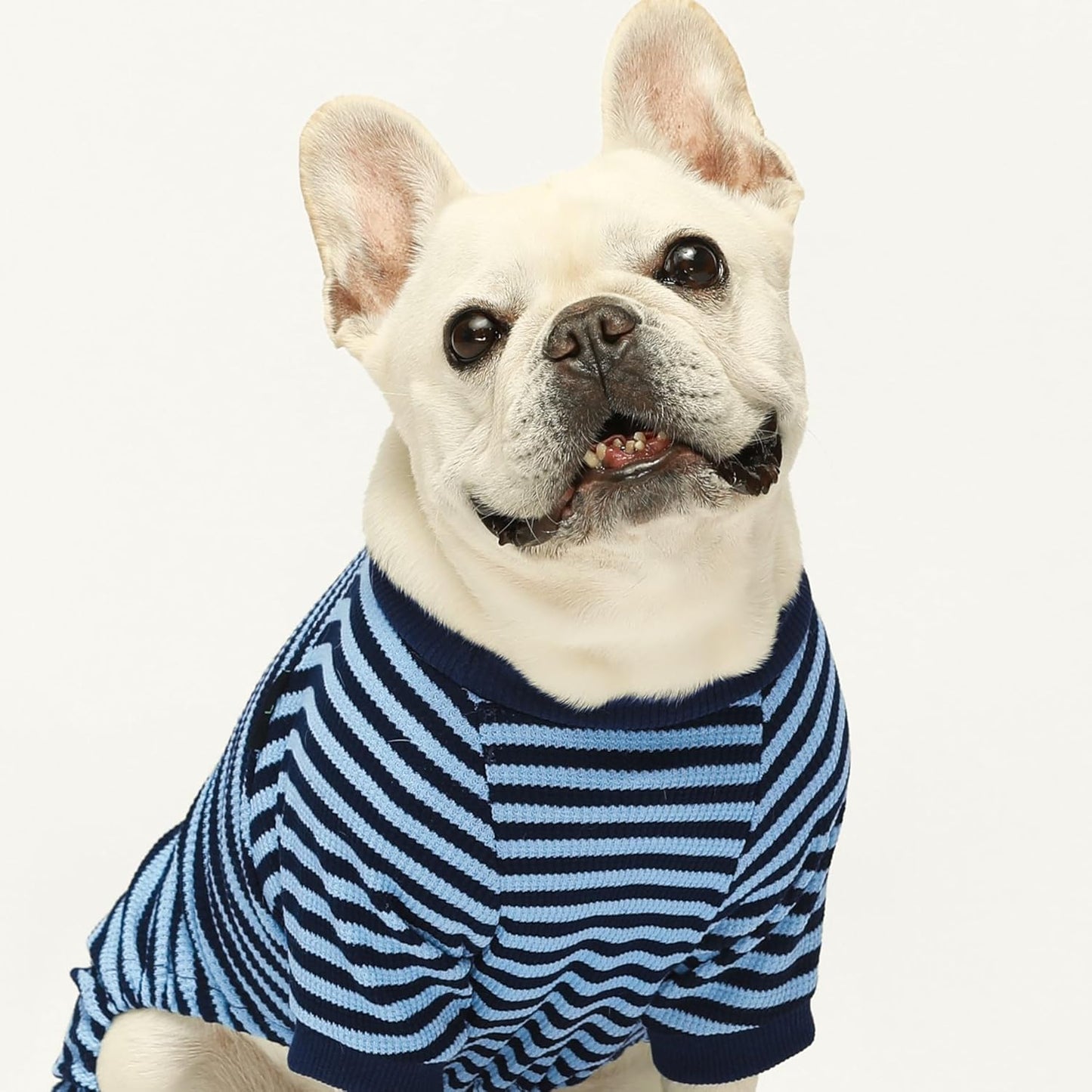 Fitwarm Blue and White Striped Dog Pajamas, Waffle Dog Clothes for Small Dogs Girl Boy, Puppy Onesie with Feet, Pet Cat Outfit, Small