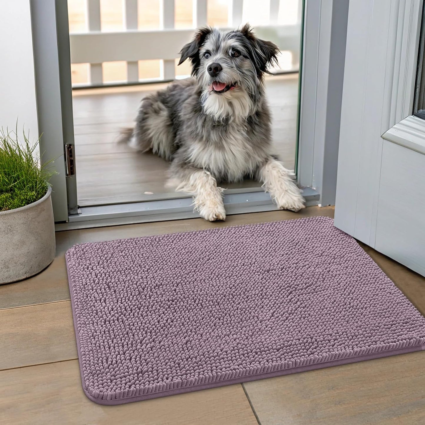 Smiry Dog Door Mat for Muddy Paws 24x16, Absorbs Moisture and Dirt Doormat, Non-Slip Washable Quick Dry Chenille Front Door Mat Indoor Entrance, Entryway Carpet for Inside Floor, Deep Plum