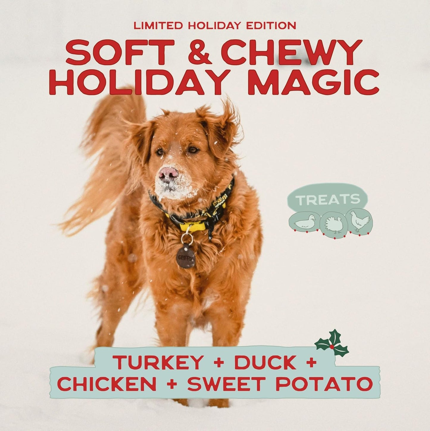 Smart Cookie Turducken Holiday Dog Treats - Turkey, Duck and Chicken Christmas Dog Treats - Healthy, All Natural, Grain Free, Human-Grade - Made in USA - 5oz