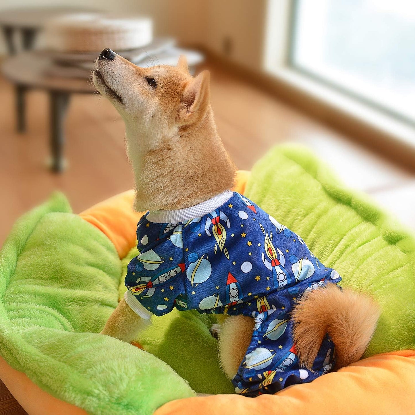 CuteBone Small Dogs Outfit Soft Puppy Onesies Pjs Dog Pajamas Pet Coat Cat Apparel Comfy Doggie Jumpsuit Bodysuit for All Seasons P16XL