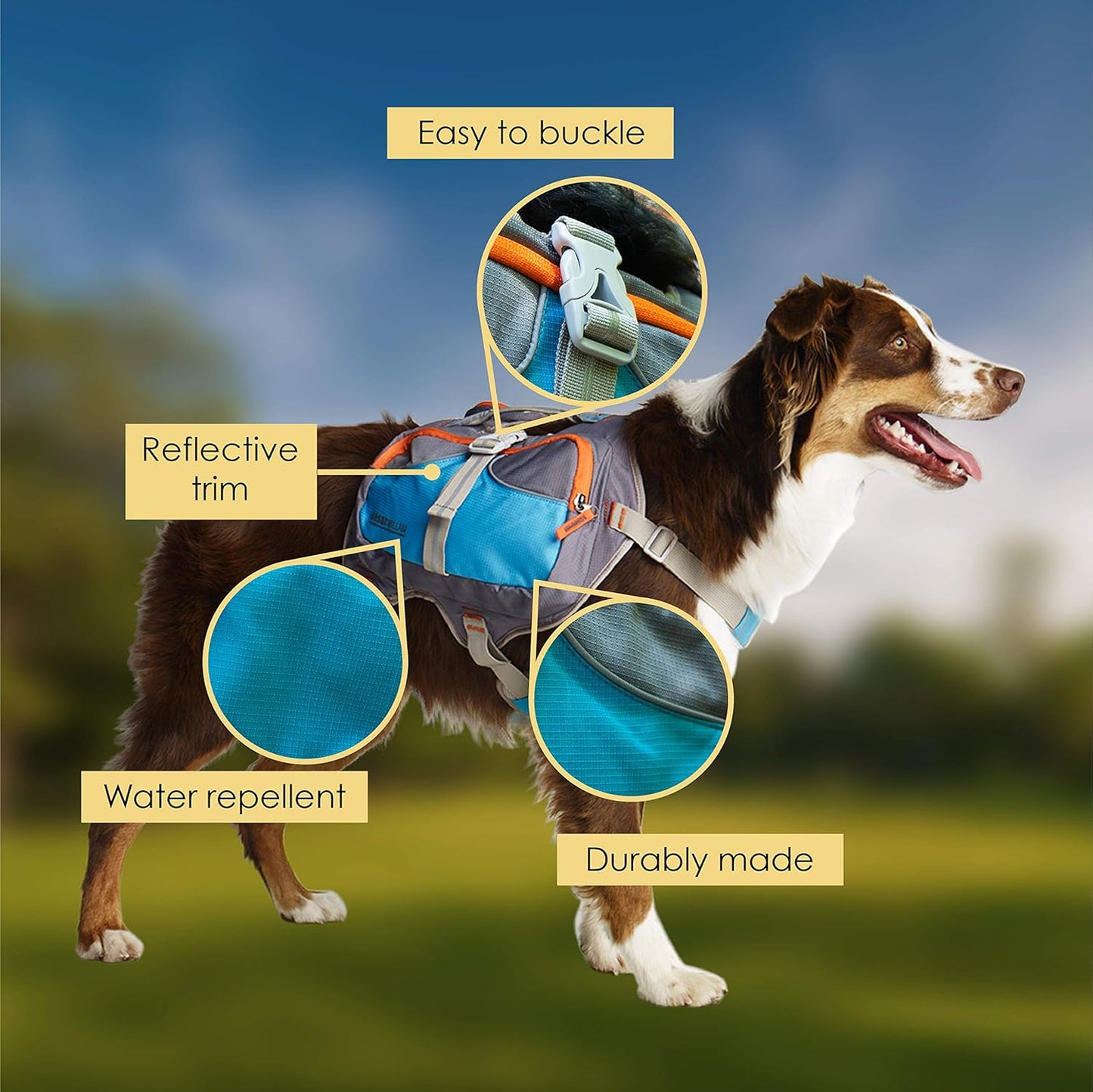 Cesar Millan Dog Backpack (Medium)