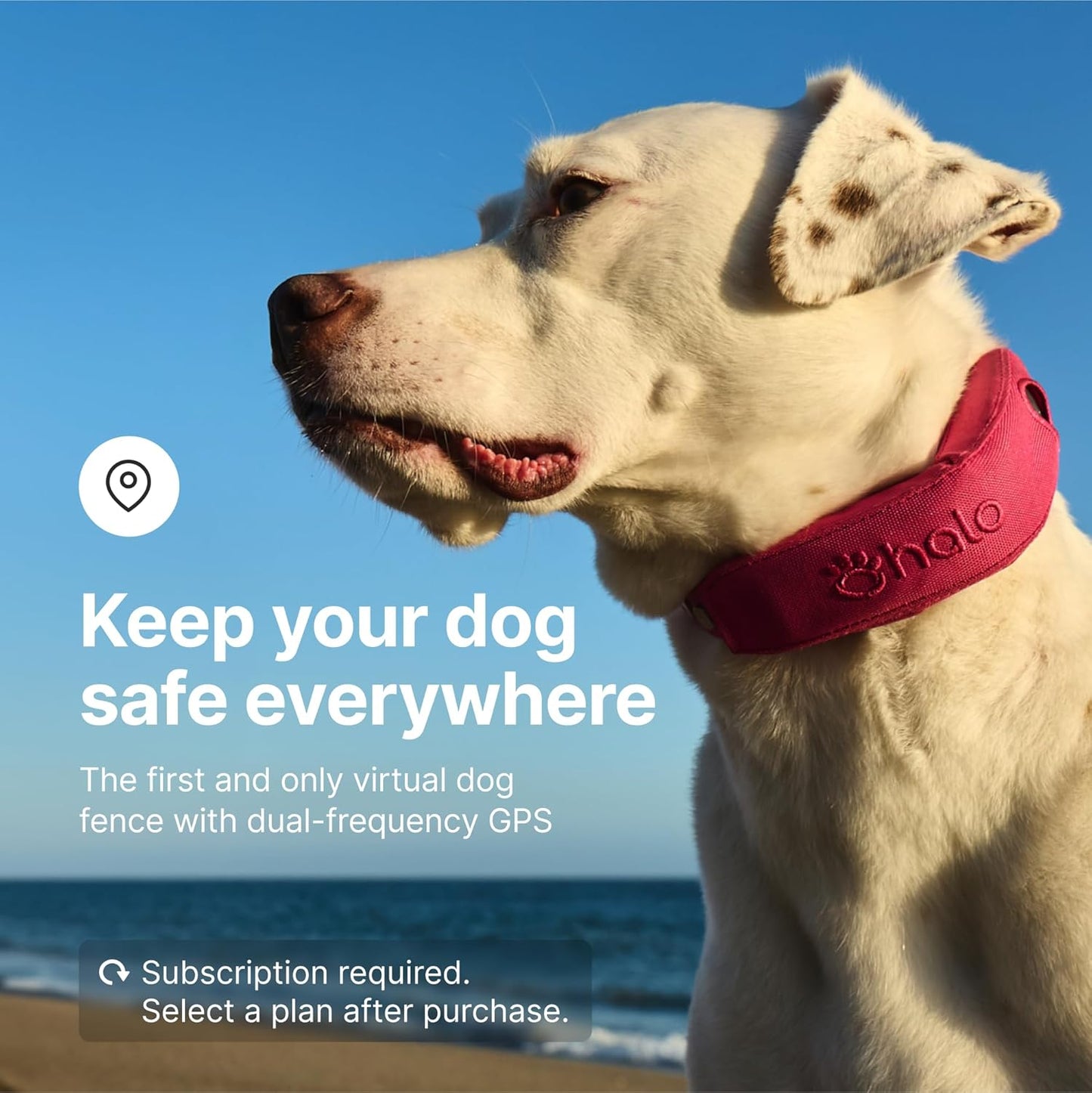 Halo Collar 4, All New GPS Wireless Dog Fence & Dog Training Collar with GPS Tracker, Subscription Required, Waterproof, One Size, Midnight