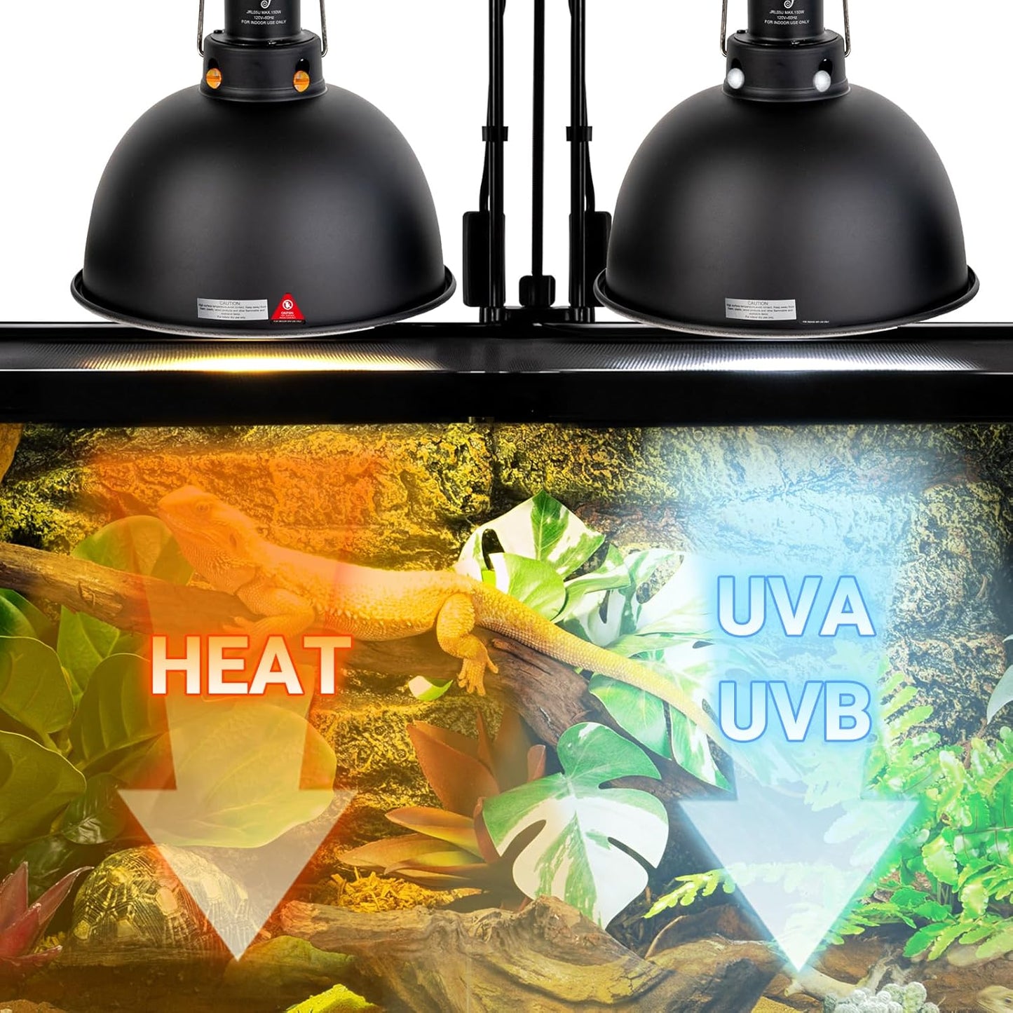 Reptile Light Fixture 2 Pack, 8.5 in Deep Dome Reptile Heat Lamp Fixture, Optical Reflection Terrarium Light Fixture for Reptile UVB UVA Heat Basking Bulbs, Separate Switch & Hook