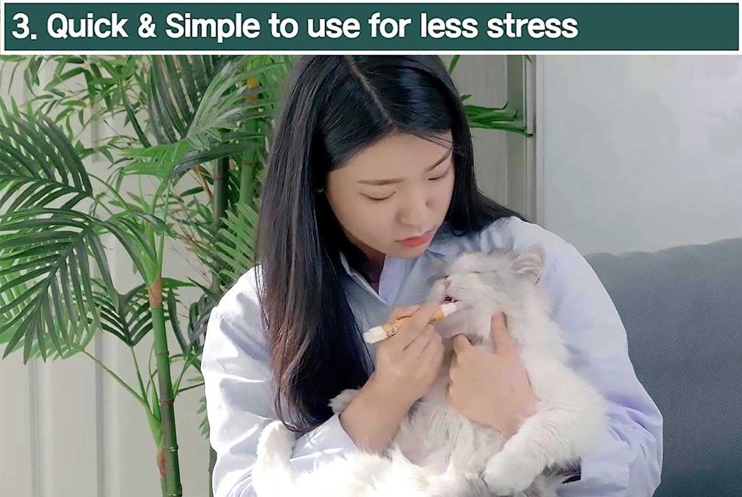 Cat Toothbrush & Toothpaste Kit – Flavor-Free Dental Gel for Cats – Finger Brush & Handle for Daily Oral Care – Plaque & Tartar Cleaning for Kittens and Adult Cats (1 Pack, 3 Count)