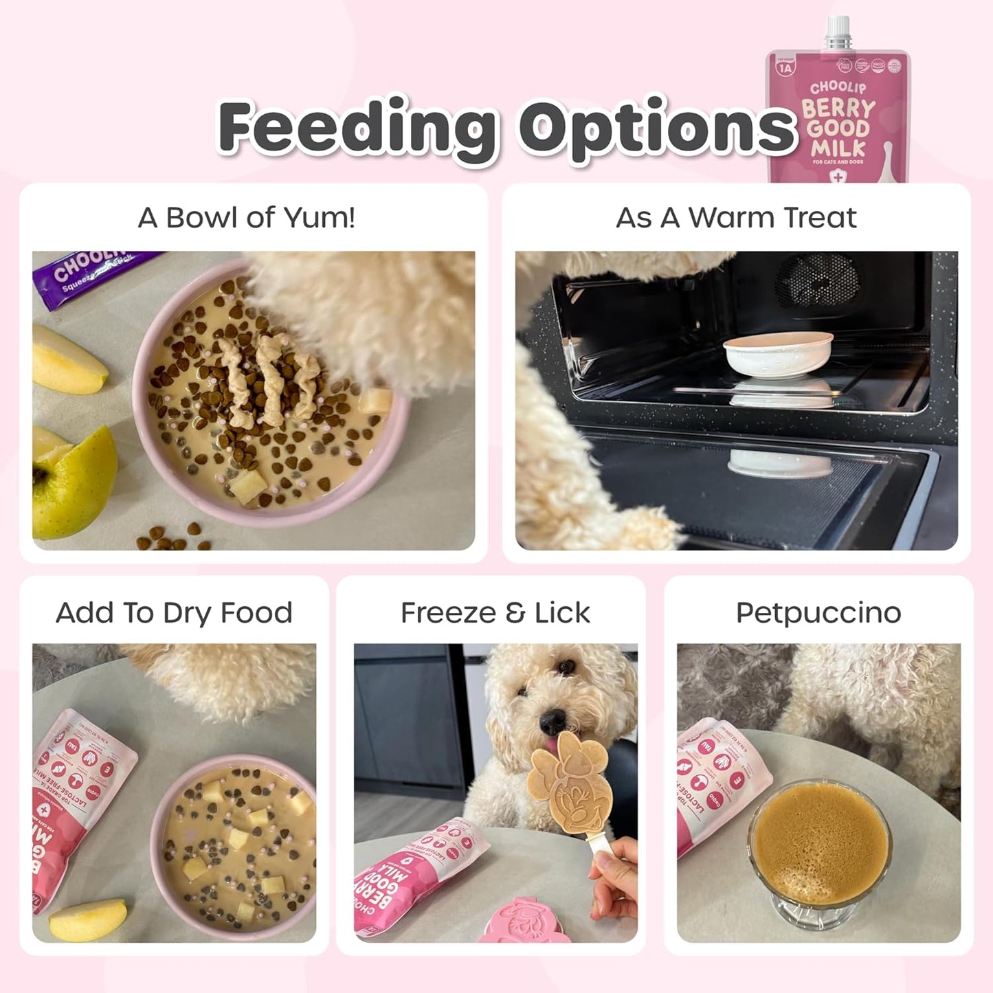 Berry Good Milk is a Lactose-Free, Vitamin-Infused Drink for Cats and Dogs. It Supports Urinary Health, Digestion, and Joint Function. Free from antibiotics, Grains, and Gluten.