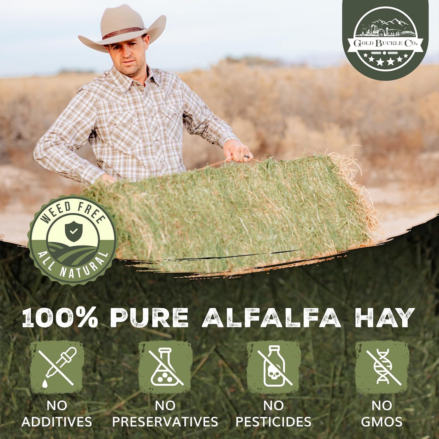 20lb Freshly Dried Organic Alfalfa Hay for Guinea Pigs, Rabbits, Chinchillas, Goats, Hamsters & Ferrets, Small Animal Food Rich in Protein & Fiber, Hand-Selected, Hand sorted, USA Grown