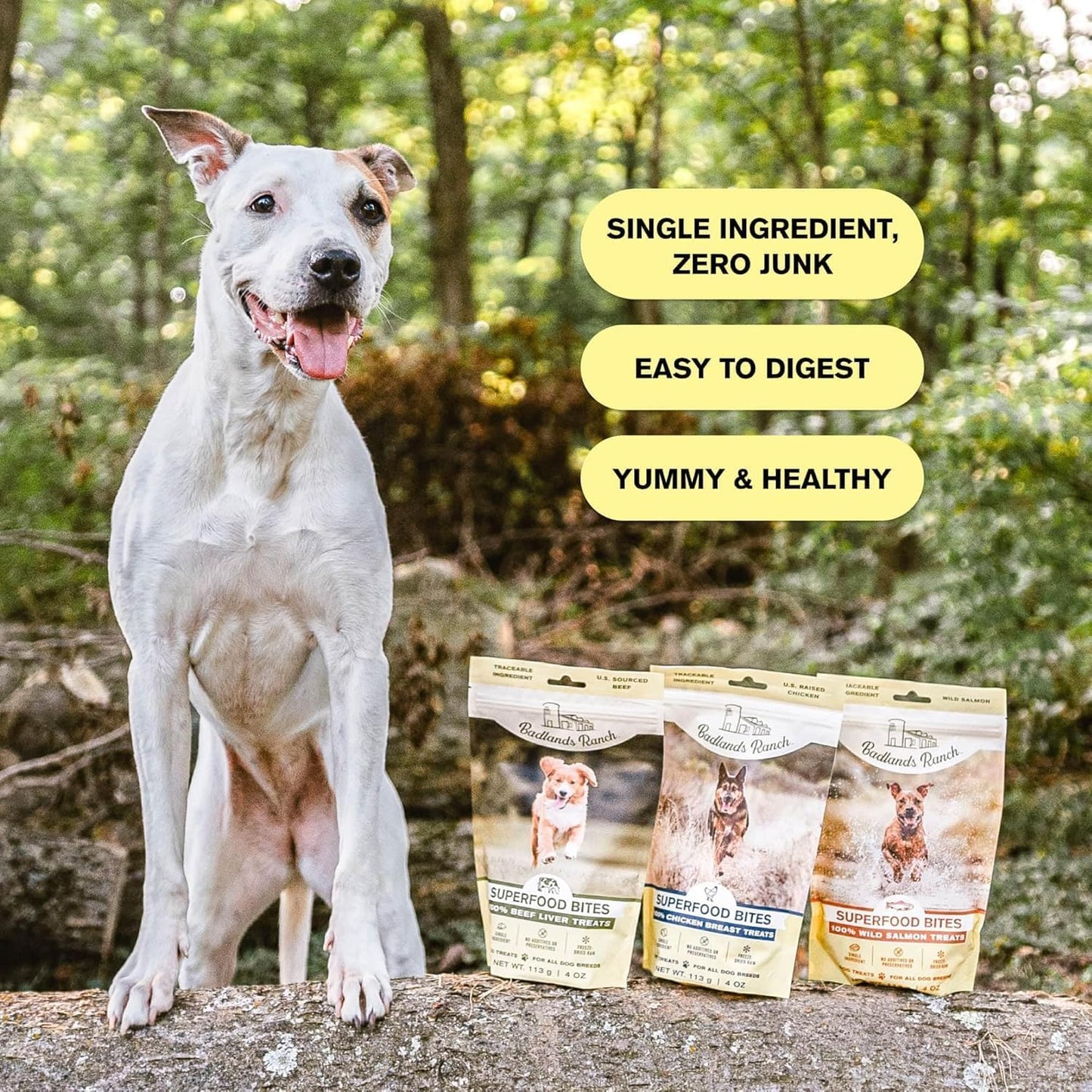 BADLANDS RANCH - Superfood Bite, Freeze-Dried Raw Dog Treats - Protein Rich, Train & Reward, Traceable Single Ingredient by Katherine Heigl (4 Ounce (Pack of 4) Chicken Breast)