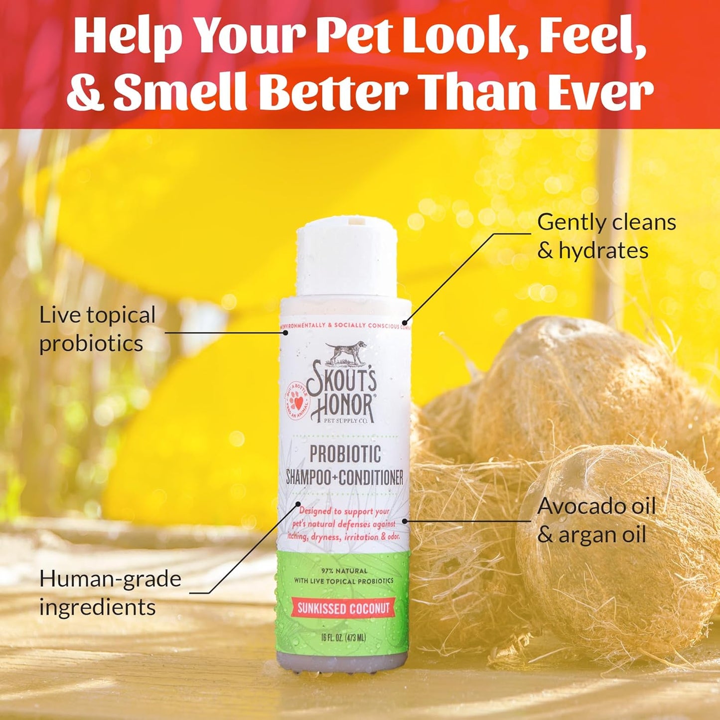 Skout's Honor Probiotic Dog Shampoo & Conditioner with Avocado Oil & Omega-3s, 97% Natural, Paraben & Sulfate-Free, Cruelty-Free, 16oz, Sunkissed Coconut, 2-Pack