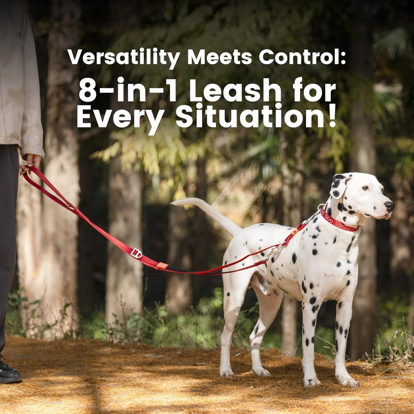 HOWGO 8-in-1 Multifunctional Hands Free Dog Training Leash with Padded Handle, 8.5 FT Nylon Adjustable Length, Lightweight Aviation Aluminum, Crossbody Waist Leash for Puppy Medium Large Dogs (Black)