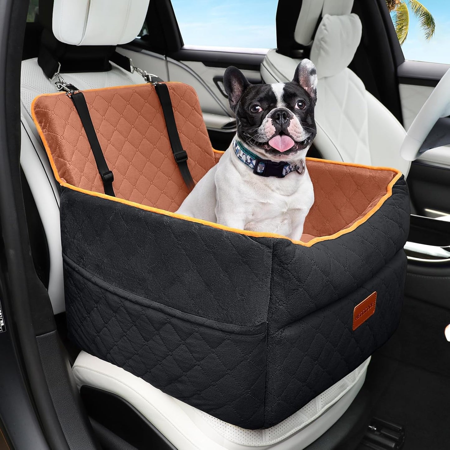 Small Dog Car Seat, Memory Foam Dog Booster Seats with Thick Cushion for Medium Dogs Under 35lbs, Detachable Washable Pet Car Seat Travel Bed with Storage Pockets,2 Safety Belts