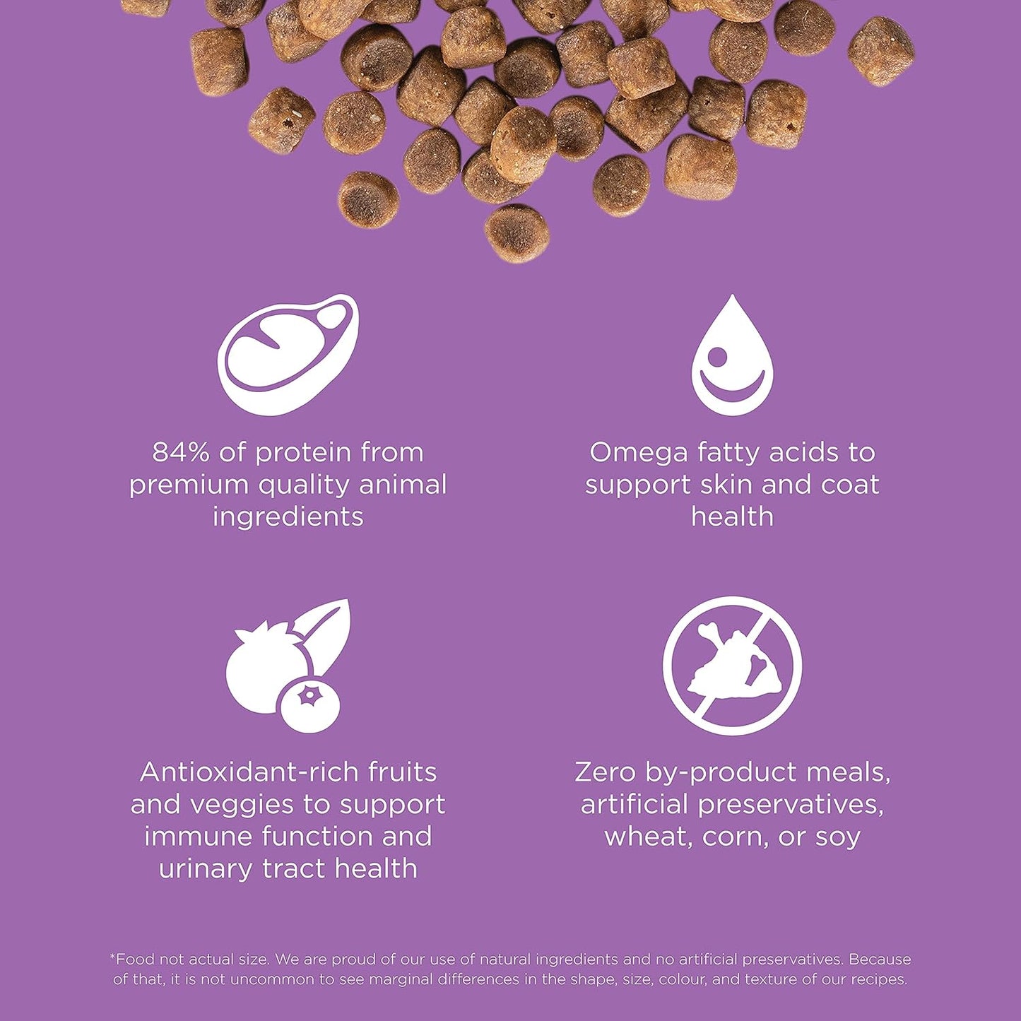 Go! Solutions Carnivore, Grain-Free, Protein Rich Dry Cat Food, Chicken, Turkey and Duck Recipe, 8 lb Bag