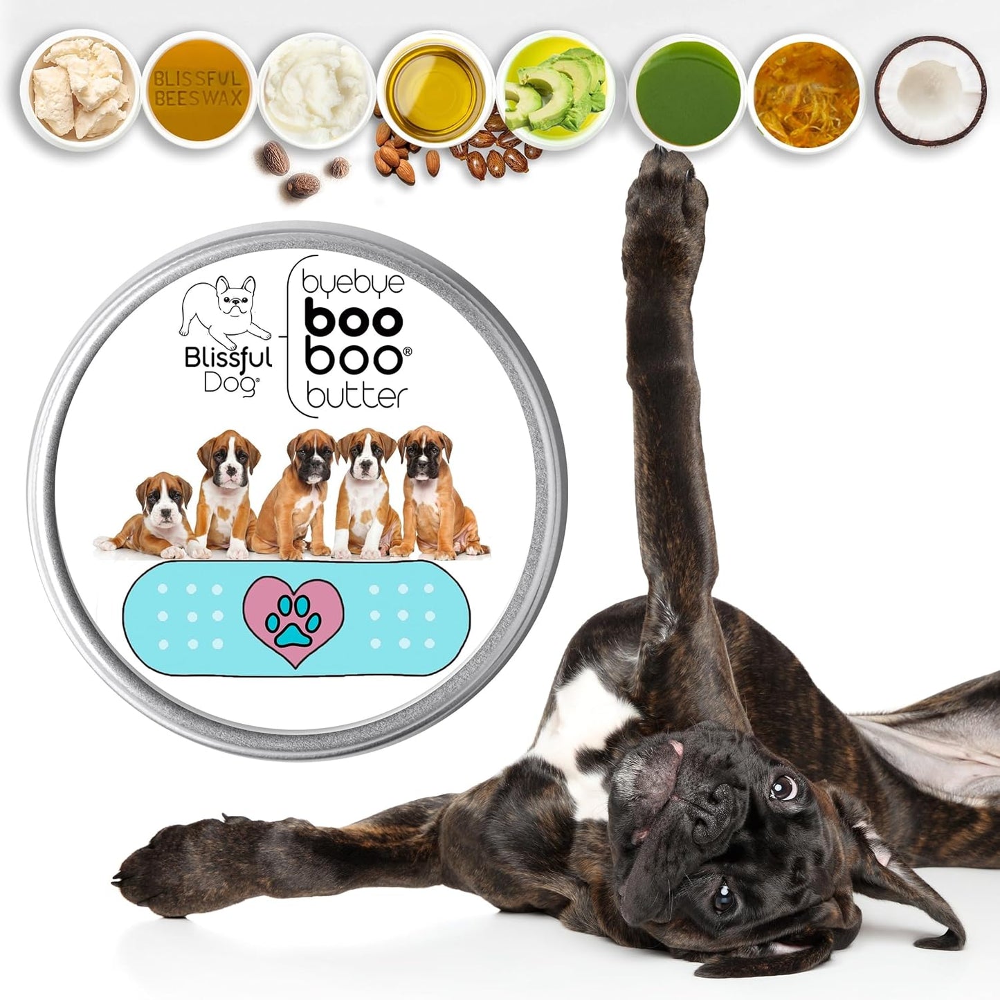 The Blissful Dog 2 oz TIN Boxer Booboo Butter