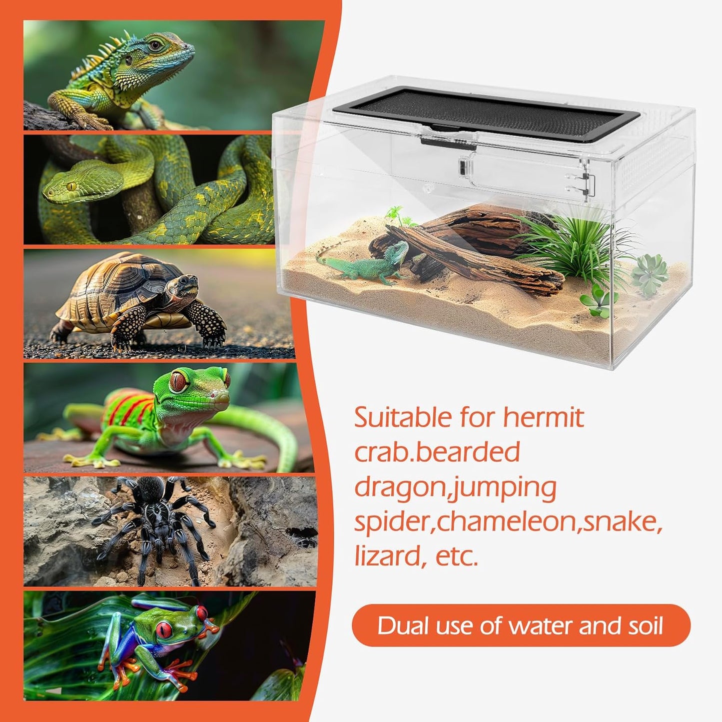 AZV Reptile PC Tank Terrarium Amphibian Turtle Tank Starter Kit Habitat Enclosure Cage 7x11x5 inch for breeding Lizards,Turtles,Corn Snakes,Chameleons,Frog,Crested Leopard Geckos,Spider,Hermit Crab