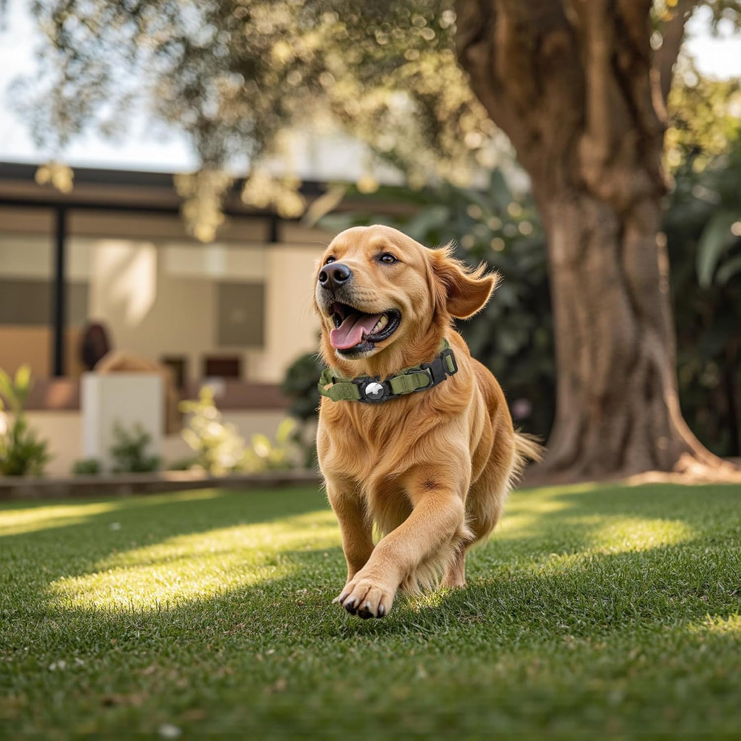 Tactical AirTag Dog Collar - Heavy Duty, Adjustable GPS Collar Compatible with Apple AirTag, with Holder & Control Handle for Medium/Large Dogs [ Green, XL ]