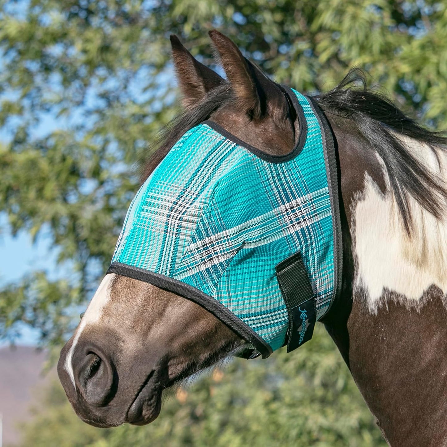 Kensington Fly Mask Web Trim Protects Horses Face and Eyes from Bites and Sun Rays While Allowing Full Visibility Ears and Forelock Able to Come Through The Mask, Small, Atlantis