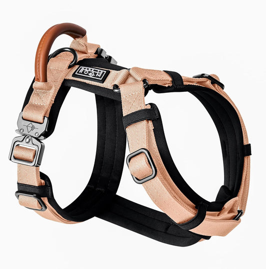 MADE TO ROAM Premium Explorer Harness - Y-Shaped Dog Harness with Adjustable Durable Nylon, Soft Padding, Metal Buckles and Leather Handle for Small, Medium, Large Dogs (Carolina Blooms, Size 5)