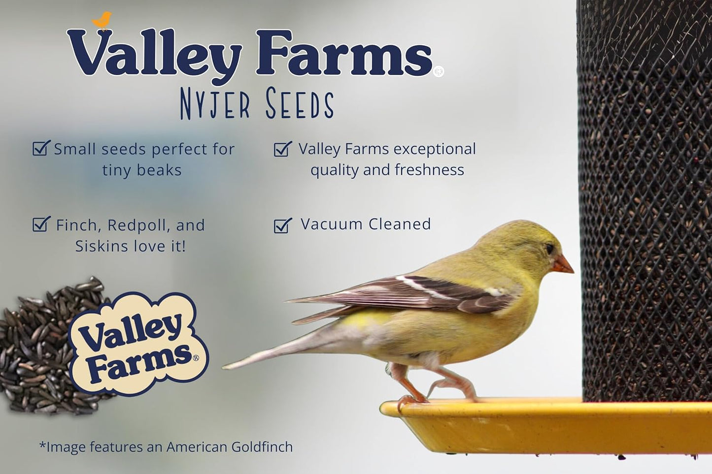 Valley Farms Nyjer Seed Wild Bird Food (4 LB) for Outside Feeders, Thistle Bird Seed for Outside Feeders, Great for Wild Finch!