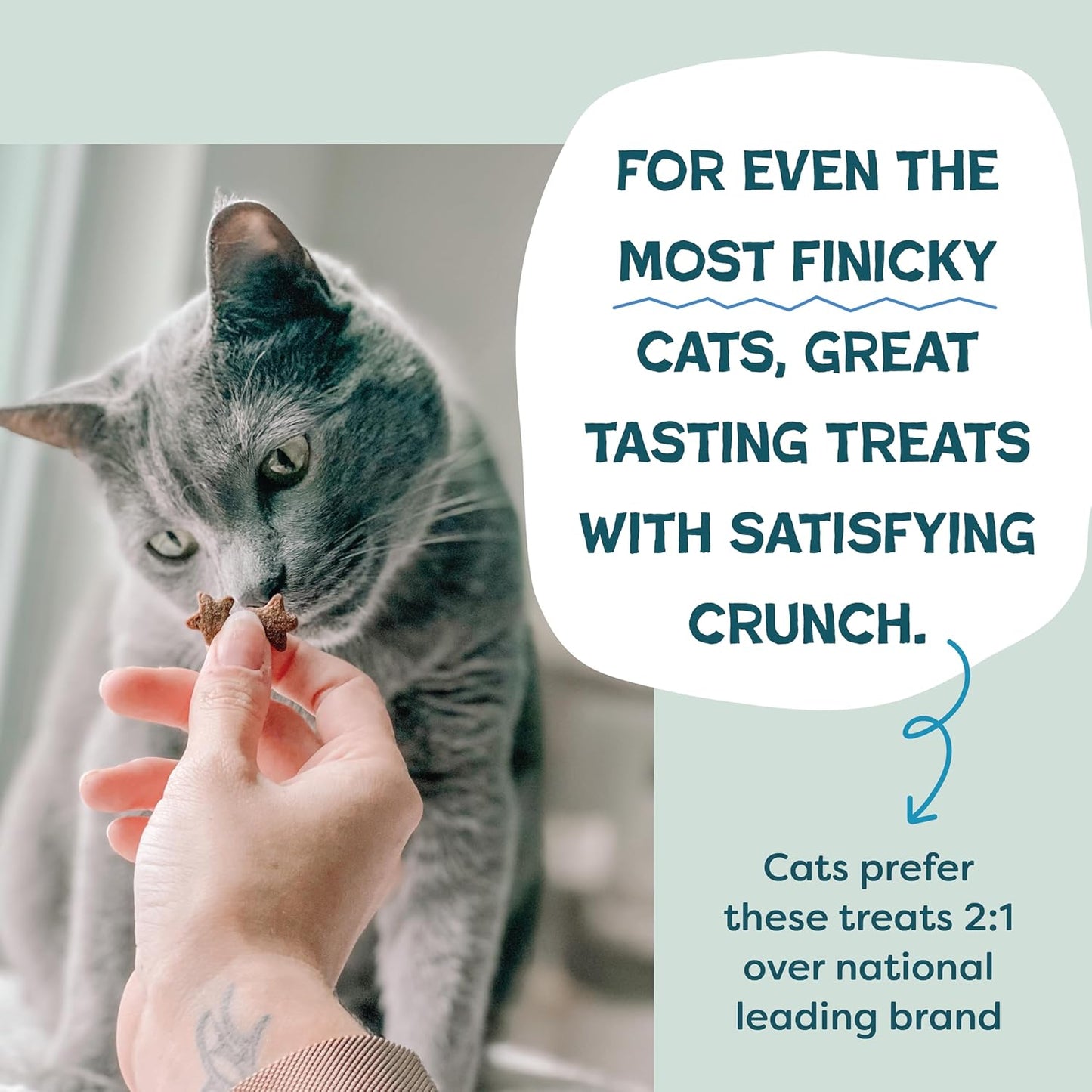Shameless Pets Crunchy Cat Treats - Catnip Treats for Cats with Digestive Support, Kitten Treats with Real Ingredients, Natural & Healthy Flavored Feline Snacks - Fintastic Catnip, 1-Pk