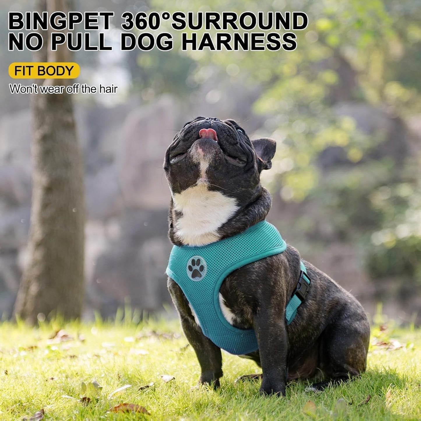 BINGPET Small Dog Harness - Breathable Mesh Puppy Cat Harnesses - No Pull Adjustable Dog Harness Dog Vest Harness for Small and Medium Dogs