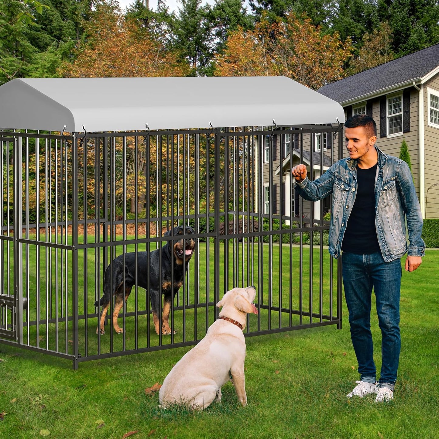 8x4x6 FT Outdoor Dog Kennel,Heavy-Duty Enclosures Outside with UV-Resistant Waterproof Roof Cover and Lock,for Medium and Large Dogs,Easy Assembly