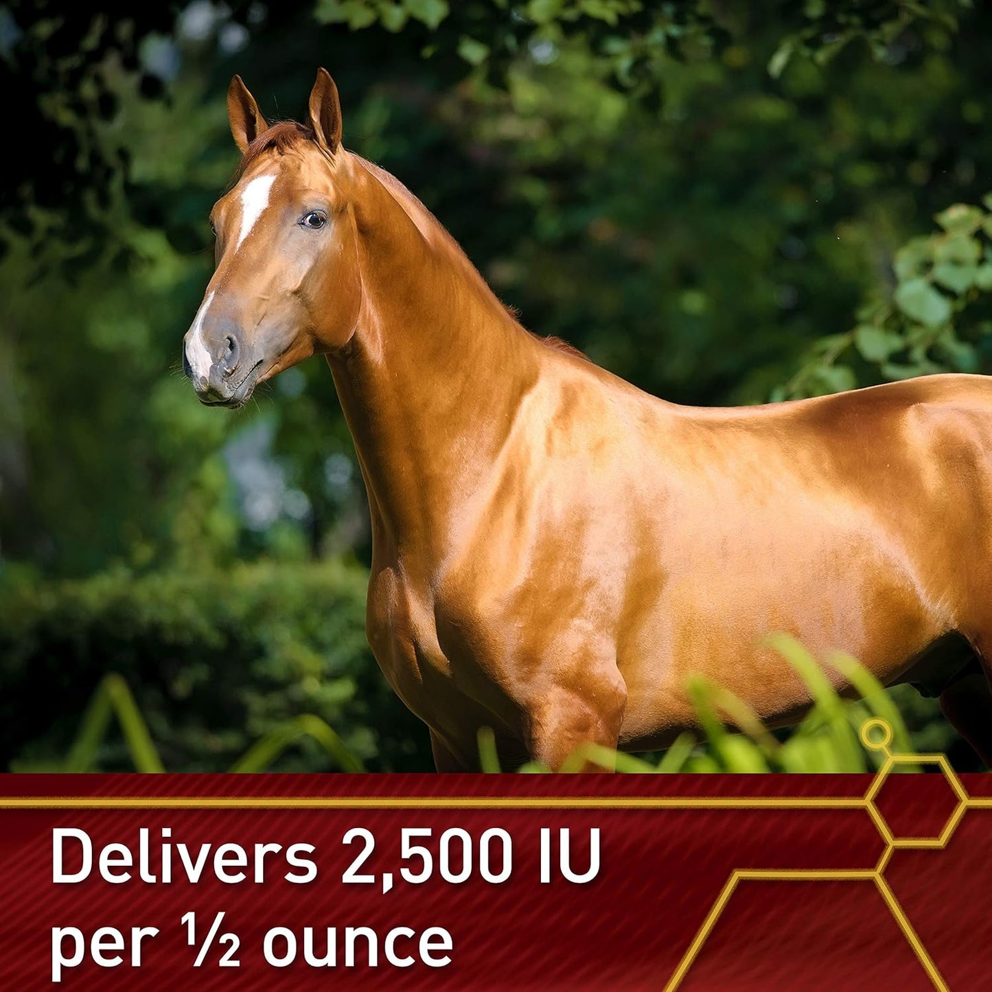 Pro E-5000 Premium Quality Horse Vitamin E, 4 lbs., 128-Day Supply