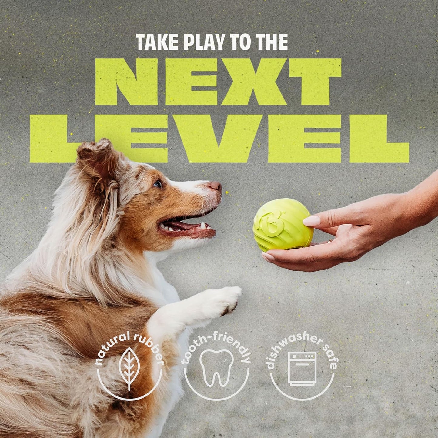 Benebone 2-Pack Rubber Ball