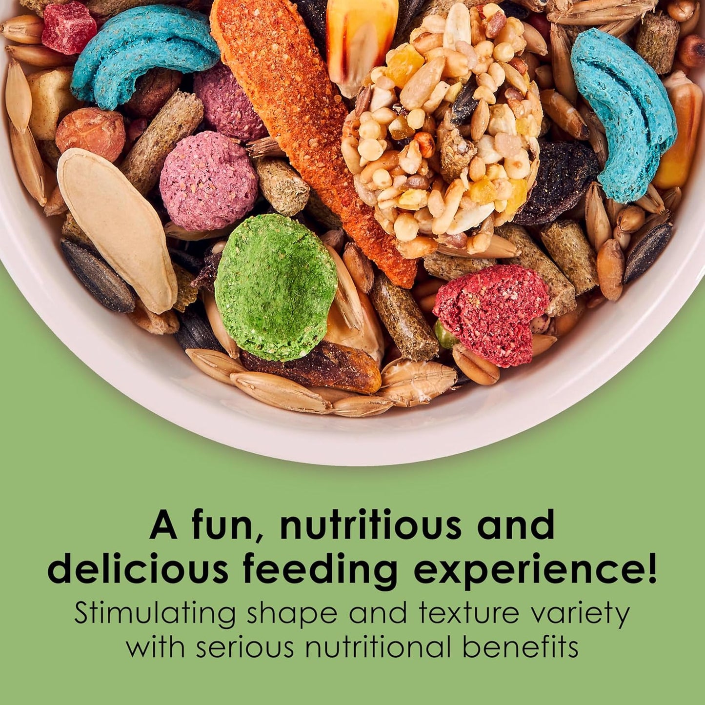 Kaytee Fiesta Hamster Gerbil, 2.5-Pound