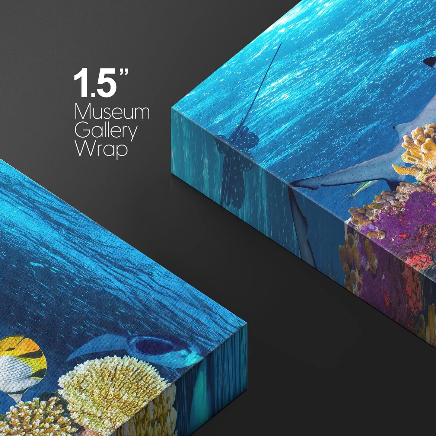 wall26 Canvas Print Wall Art Tropical Island Underwater Turtle Shark Nature Animals Photography Realism Rustic Scenic Landscape Wilderness Earth Colorful for Living Room, Bedroom, Office - 16"x24"