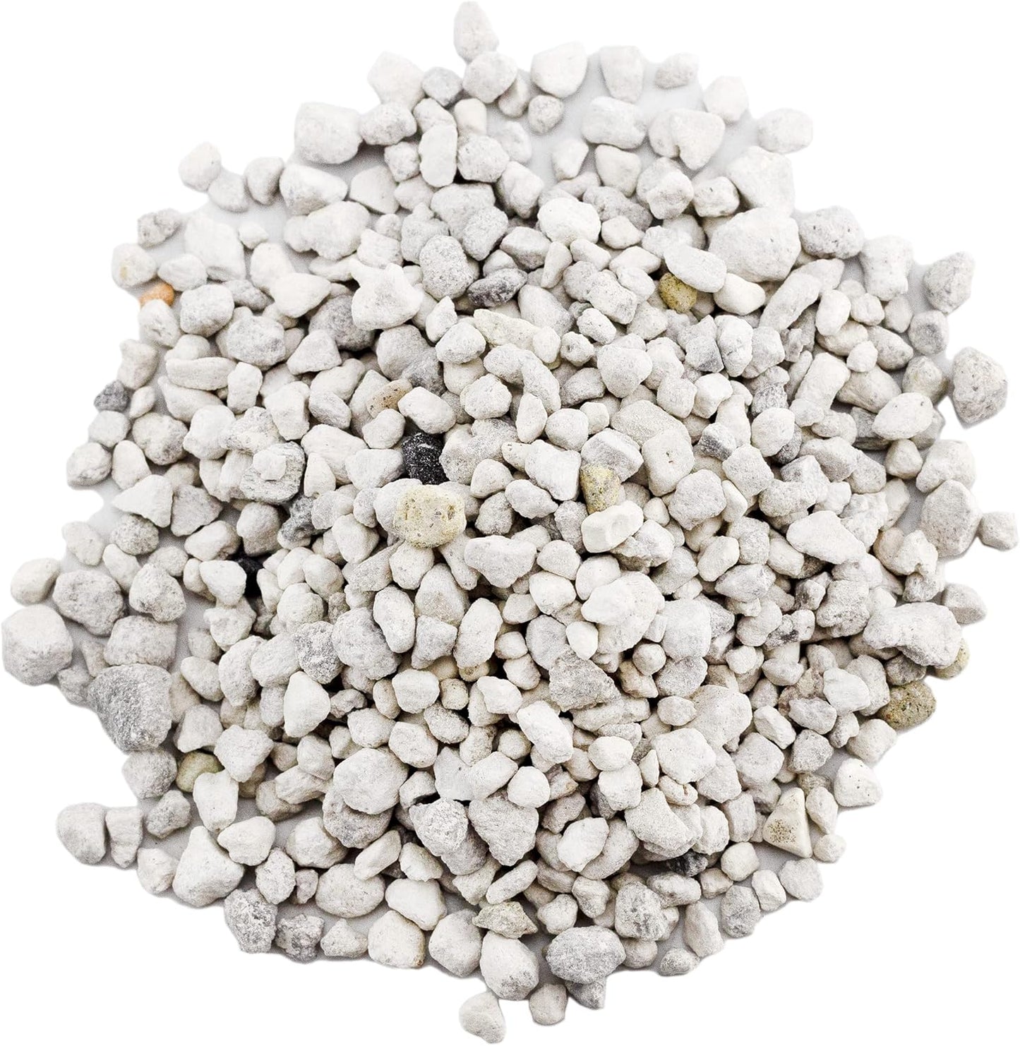 Horticultural Bonsai Pumice Soil Amendment (2 LB), Supplement for Bonsai and Cactus Indoor Plants