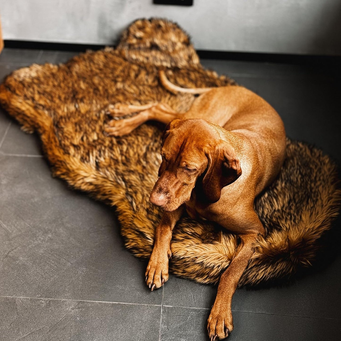 IHAPPYDOG Luxury Faux Fur Orthopedic Dog Bed, Memory Foam Dog Bed for Small, Medium, Large and XL Pets, Fluffy Pet Bed with Waterproof and Washable Cover (Brown, 50"x30")