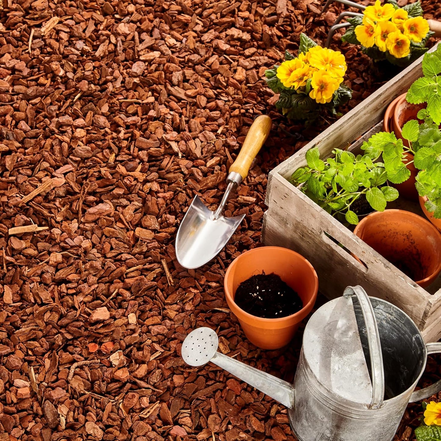 Premium Pine Bark Nuggets – Pine Bark Mulch for Gardens, Landscaping, Potted Plants, and Wood Chips for Garden Beds (2 CF - 56 L - 59 QTS)