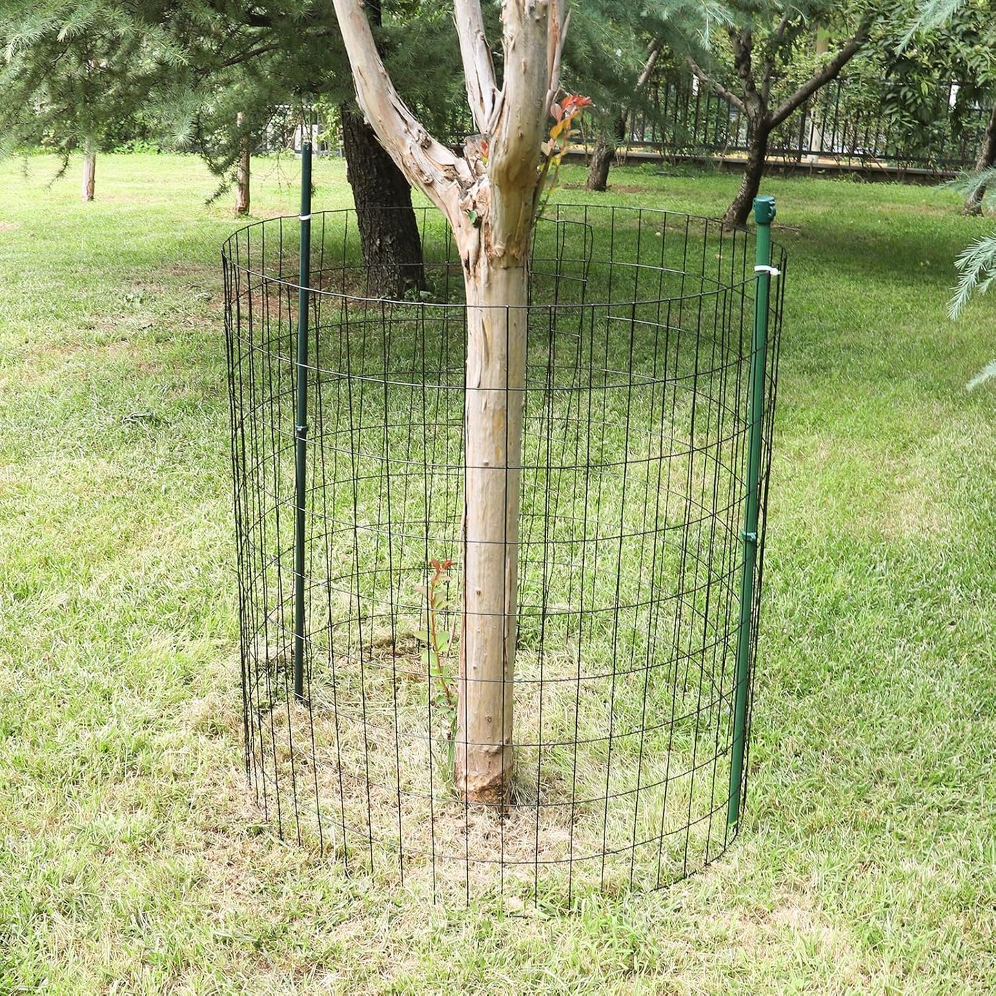 Black PVC Coated Welded Wire Fence 24 Inch x 50 Foot, 2 Inch x 4 Inch 15GA, Garden Border Fencing Roll Vinyl Coating Metal Wire Mesh Hardware Cloth for Yard Vegetable Plant Protection