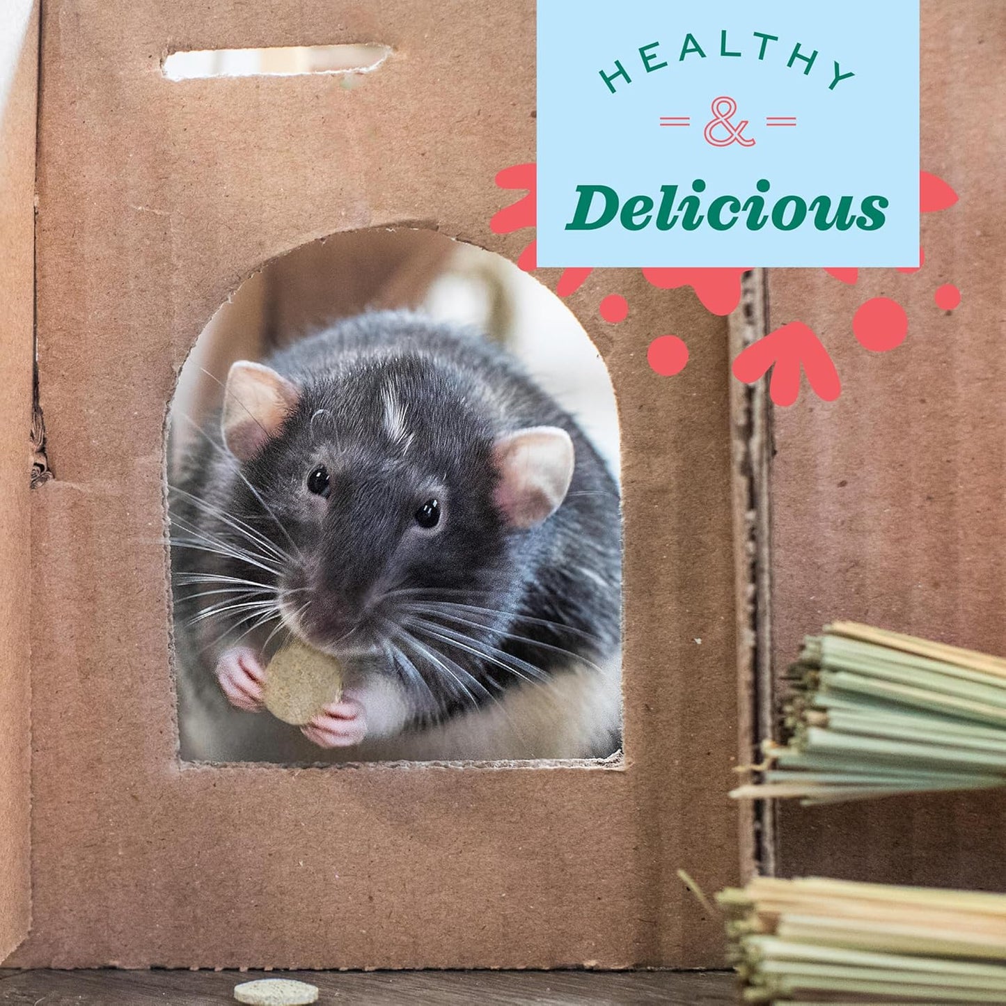 Oxbow Animal Health Papaya Support, High Fiber Digestive Supplement for Rabbit & Guinea Pig, Made with Timothy Hay, Includes Papaya, Pineapple, Papain, & Bromelain, Made in USA, 1.16 oz Bag