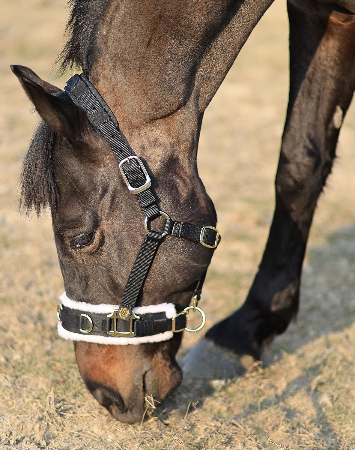 T TEKE Lunge Cavesson with Fleece Lined Nose Band and Crown