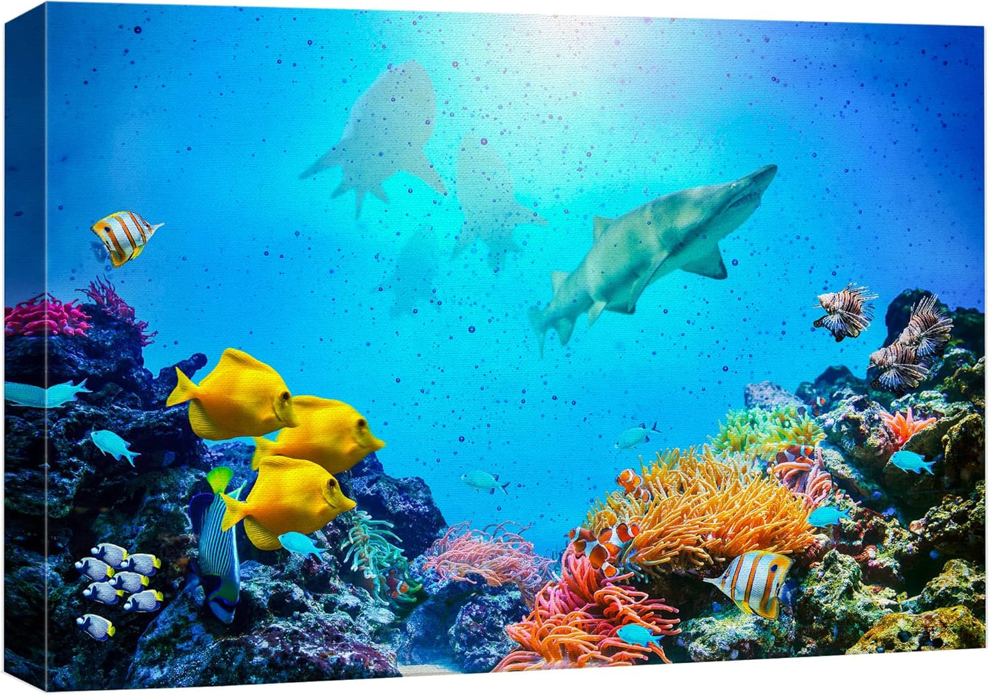 wall26 Canvas Print Wall Art Vibrant Coral Reef Shark Fish Anemone Reef Nature Animals Photography Realism Rustic Scenic Landscape Wilderness Earth for Living Room, Bedroom, Office - 16"x24"
