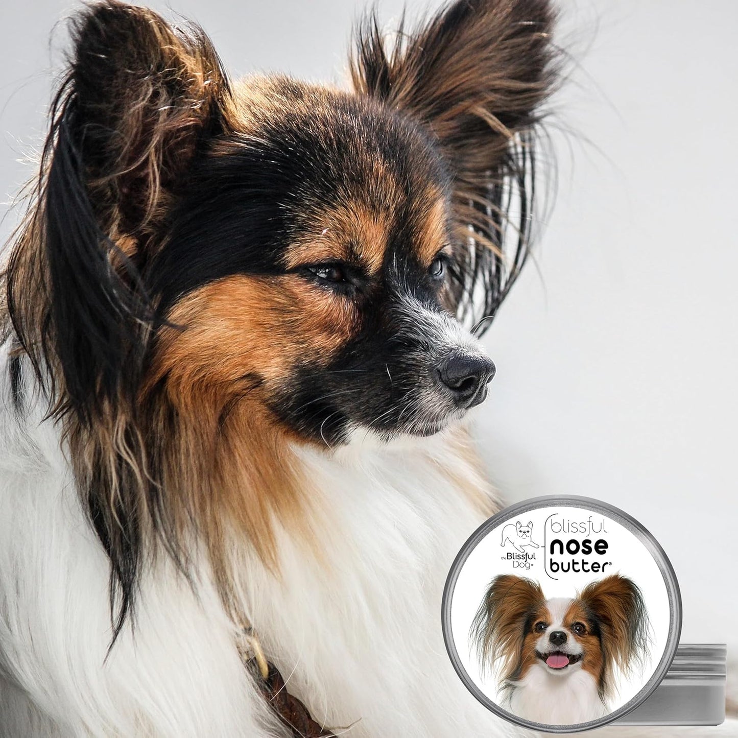 The Blissful Dog Papillon Unscented Nose Butter - Dog Nose Butter, 1 Ounce