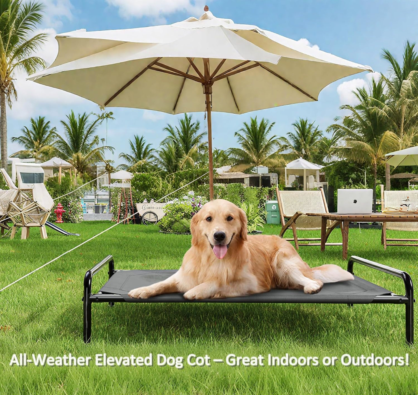 Raised Dog Bed, Outdoor Dog Bed for Dogs, Cooling Elevated Pet Cot, Durable and Sturdy Pet Bed, Waterproof Mesh Cover Raised Metal Frame, Non Slip, Black