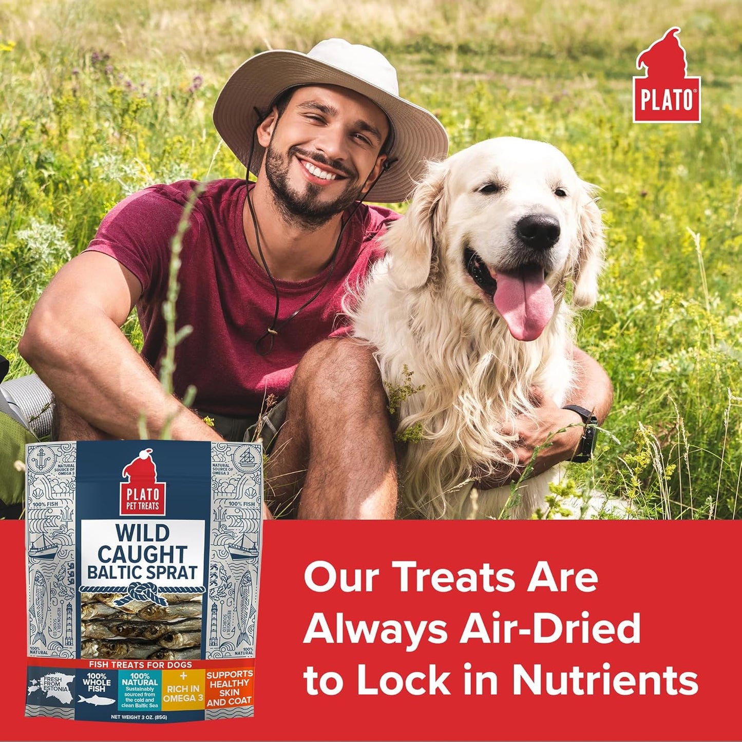 Plato Baltic Sprat 3oz