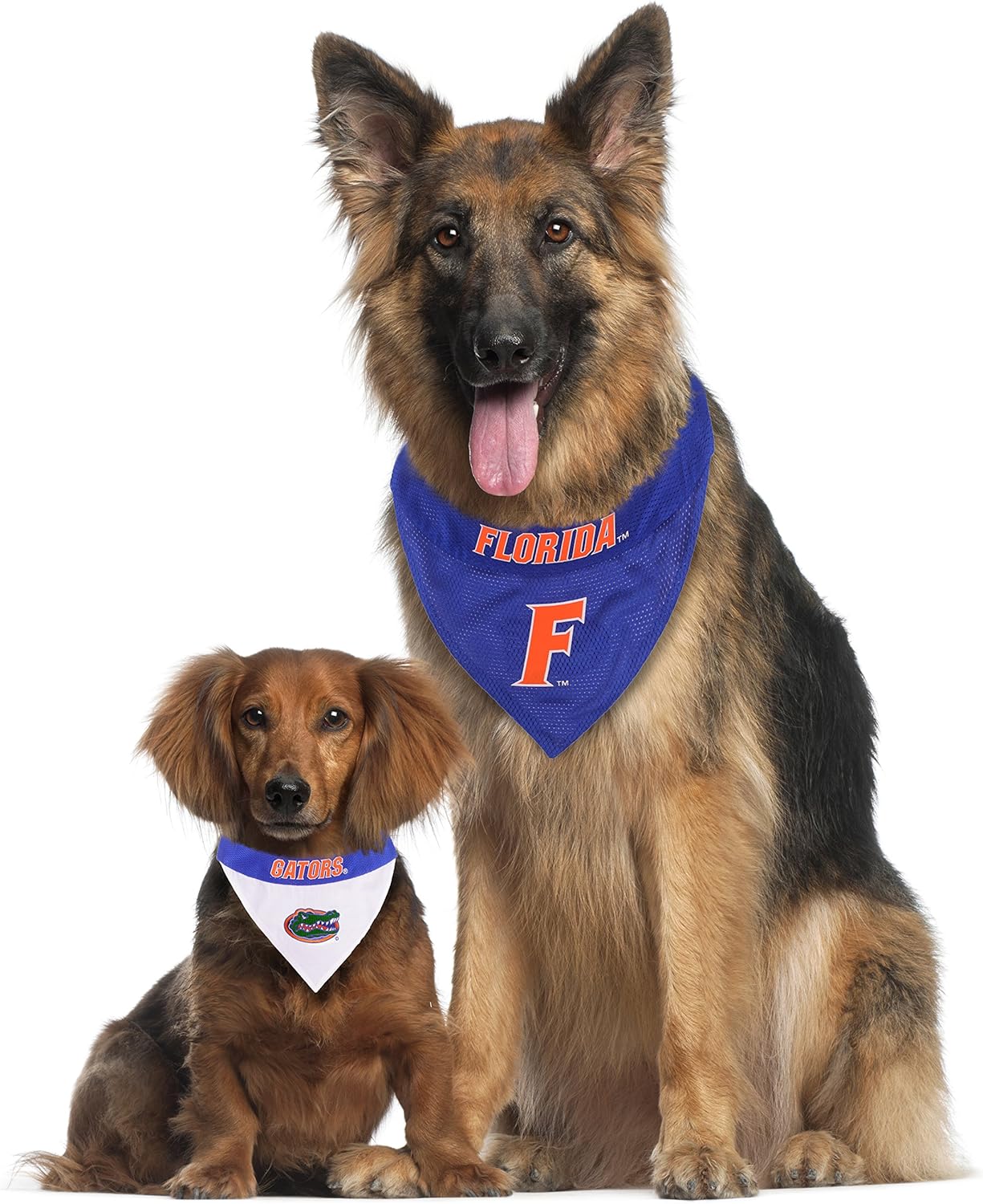 Pets First Collegiate Pet Accessories, Reversible Bandana, Florida Gators, Small/Medium