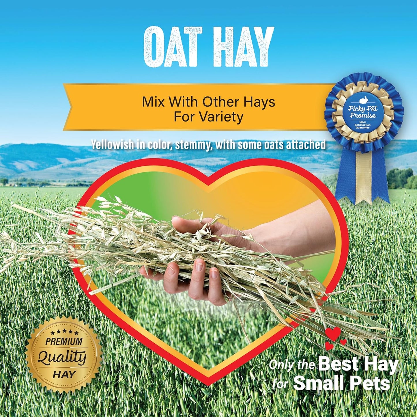 Small Pet Select Oat Hay Pet Food, 10 Lb.